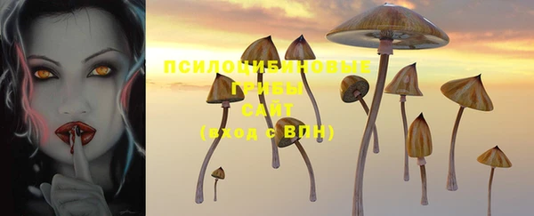 мяу мяу мука Алексеевка